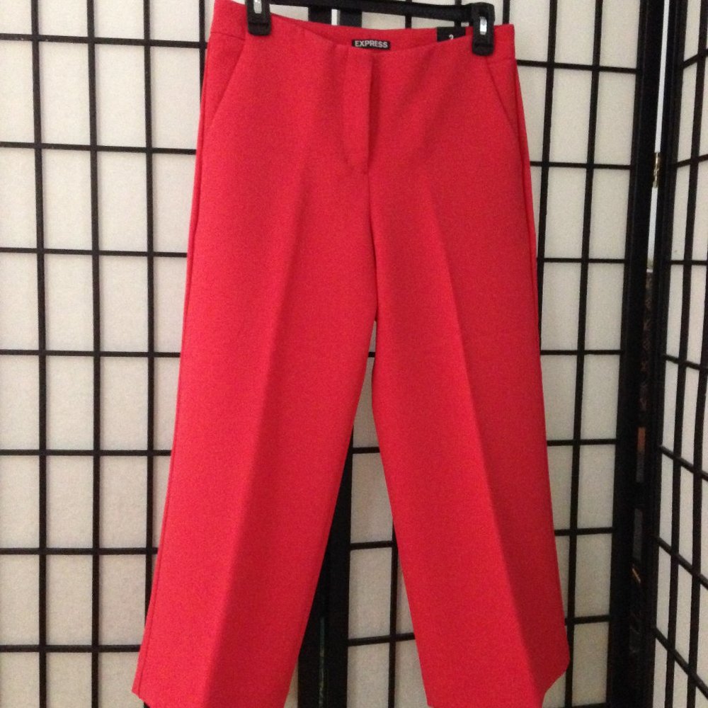 NWT Gorgeous Material Express Pants